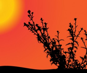 Sunset with plant silhouette vector