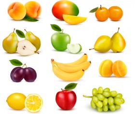 Various fresh fruits vector design 01