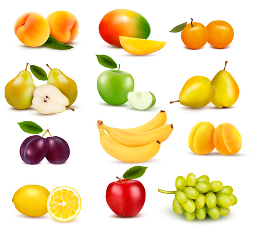 Various fresh fruits vector design 01