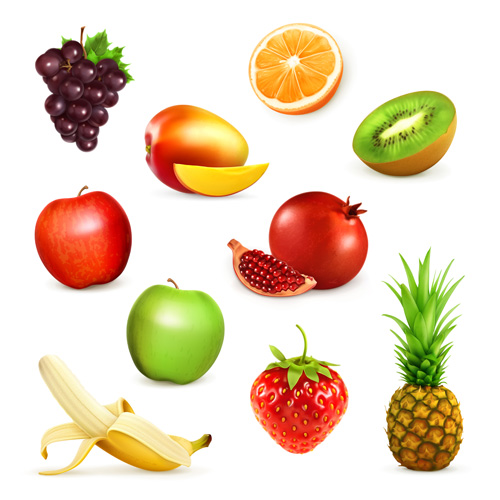 Download Various fresh fruits vector design 02 free download