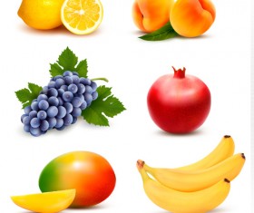Various fresh fruits vector design 03