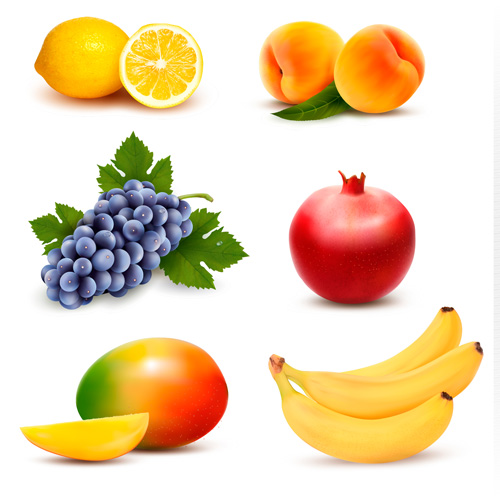 Various fresh fruits vector design 03
