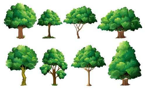 Various tree vectors material set 03