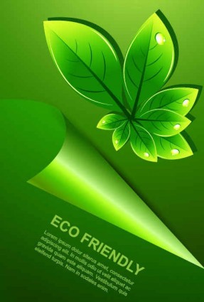 Green leaves with water drop eco background 02