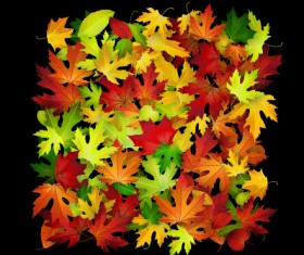 Autumn leaves beautiful background art 02