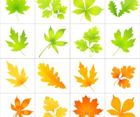 Beautiful autumn leaves icons vector 01