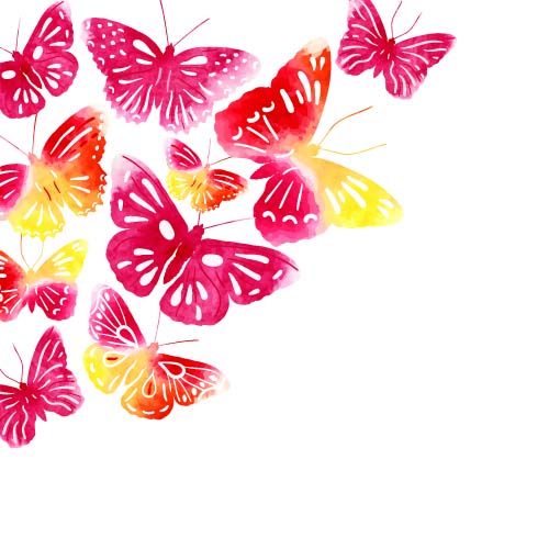Beautiful butterflies design vectors graphics 01
