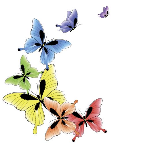 Beautiful butterflies design vectors graphics 02