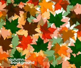 Colored autumn leaves vector backgrounds 02