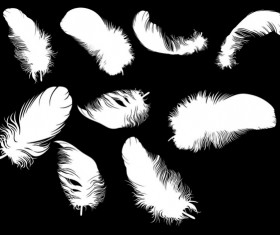 Different Feather Photoshop Brushes