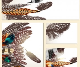 Feathers banner with cards vector 01