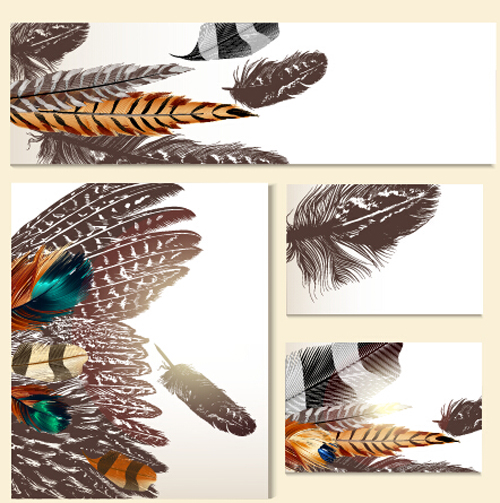 Feathers banner with cards vector 01