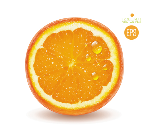Fresh fruit citrus vector material set 03