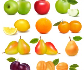 Fresh fruits realistic vector material 01