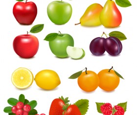 Fresh fruits realistic vector material 02