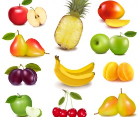 Fresh fruits realistic vector material 03
