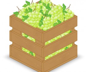 Fruits with wooden crate vector graphics 02
