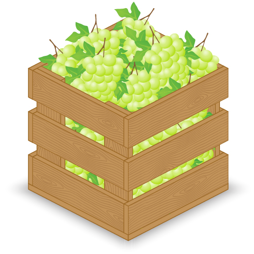 Fruits with wooden crate vector graphics 02