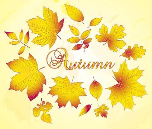 Golden autumn leaves vector background material