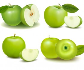 Green apple with slice vectors