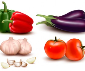 Green pepper,Eggplant,Tomato with Garlic vector 01