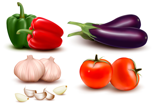 Green pepper,Eggplant,Tomato with Garlic vector 01