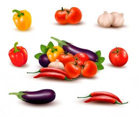 Green pepper,Eggplant,Tomato with Garlic vector 02
