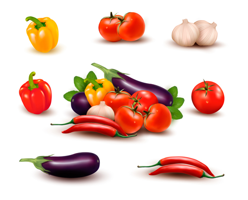 Green pepper,Eggplant,Tomato with Garlic vector 02
