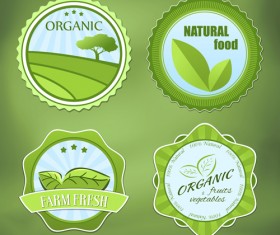 Labels green natural vector material