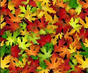Realistic autumn leaves pattern vector graphics 01