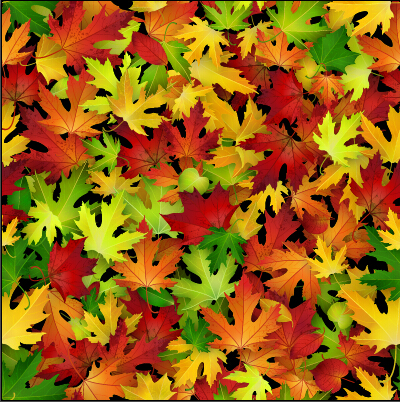Realistic autumn leaves pattern vector graphics 01