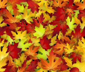 Realistic autumn leaves pattern vector graphics 02