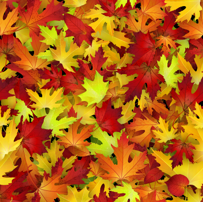 Realistic autumn leaves pattern vector graphics 02