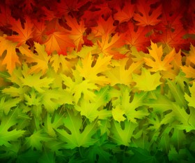 Realistic autumn leaves pattern vector graphics 03