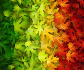 Realistic autumn leaves pattern vector graphics 04