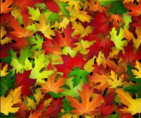 Realistic autumn leaves pattern vector graphics 05