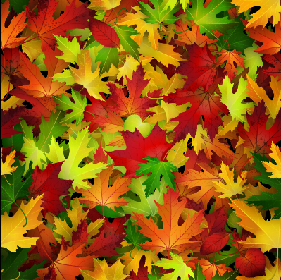 Realistic autumn leaves pattern vector graphics 05
