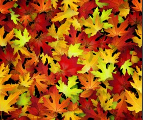 Realistic autumn leaves pattern vector graphics 06