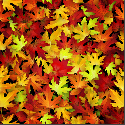 Realistic autumn leaves pattern vector graphics 06