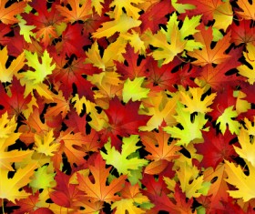 Realistic autumn leaves pattern vector graphics 07