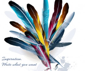 Realistic feathers vector design set 02