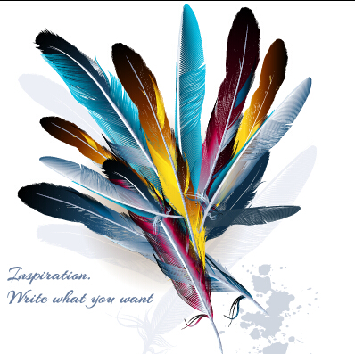 Realistic feathers vector design set 02