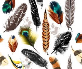 Realistic feathers vector seamless pattern 02