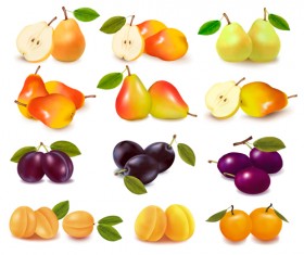 Shiny fruits design vector background 02