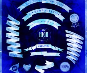 Vintage ribbon with quality Label vector material 05