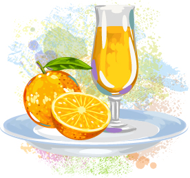 Watercolor orange with juice vector