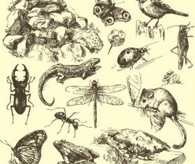 Wild animals hand drawing vectors set 01