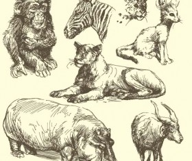 Wild animals hand drawing vectors set 03