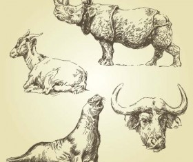 Wild animals hand drawing vectors set 04