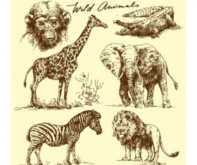 Wild animals hand drawing vectors set 05